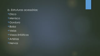 b. Estruturas acessórias:
Disco
Menisco
Gordura
Bolsa
Veias
Vasos linfáticos
Artérias
Nervos
 