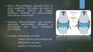  Disco: fibrocartilagem disposta entre as
duas superfícies articulares, se unem a
parte fibrosa através da região
periférica, dividindo em subcavidades
que não se comunicam
 Menisco: fibrocartilagem que formam
estruturas semilunares dividindo a
articulação em duas cavidades
secundárias
 Funções: diminuição do atrito
melhor distribuição-lubrificação
distribuição de peso
auxilia no movimento
 