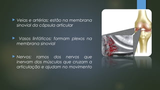  Veias e artérias: estão na membrana
sinovial da cápsula articular
 Vasos linfáticos: formam plexos na
membrana sinovial
 Nervos: ramos dos nervos que
inervam dos músculos que cruzam a
articulação e ajudam no movimento
 