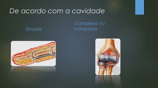 De acordo com a cavidade
Simples
Complexa ou
composta
 