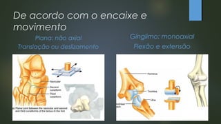 De acordo com o encaixe e
movimento
Plana: não axial
Translação ou deslizamento
Gínglimo: monoaxial
Flexão e extensão
 