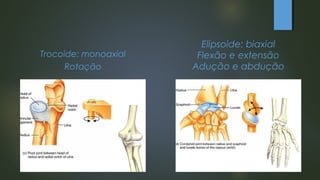 Trocoide: monoaxial
Rotação
Elipsoide: biaxial
Flexão e extensão
Adução e abdução
 