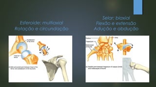 Esferoide: multiaxial
Rotação e circundação
Selar: biaxial
Flexão e extensão
Adução e abdução
 