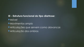 III - Estrutura funcional do tipo diartrose:
Móvel
Movimentos amplo
Articulações que servem como alavancas
Articulação dos ombros
 
