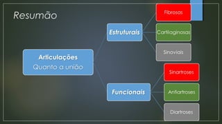 Resumão
 