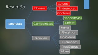 Resumão
 