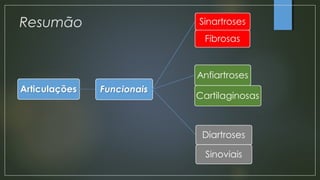 Resumão
 