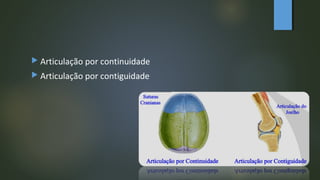  Articulação por continuidade
 Articulação por contiguidade
 