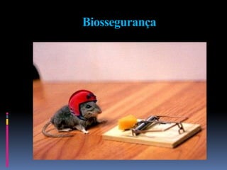 Biossegurança
 