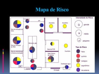 Mapa de Risco
 