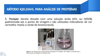 MÉTODO KJELDAHL PARA ANÁLISE DE PROTEÍNAS
5. Titulaęão: borato dosado com uma solução ácida (HCL ou H2SO$)
padronizada ate o ponto de viragem ( são utilizadas indicadores de cor
vermelho metila e verde de bromocresol).
17
 