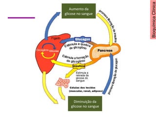 BioquímicaClínica
Aumento da
glicose no sangue
Diminuição da
glicose no sangue
 