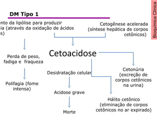 BioquímicaClínica
Cetoacidose
ento da lipólise para produzir
gia (através da oxidação de ácidos
os)
Cetogênese acelerada
(síntese hepática de corpos
cetônicos)
Desidratação celular
Hálito cetônico
(eliminação de corpos
cetônicos no ar expirado)
Acidose grave
Cetonúria
(excreção de
corpos cetônicos
na urina)
Morte
Perda de peso,
fadiga e fraqueza
Polifagia (fome
intensa)
DM Tipo 1
 