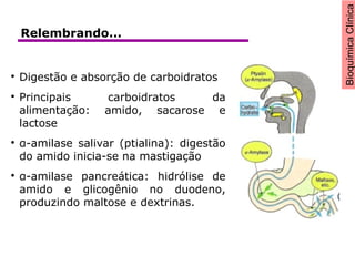 BioquímicaClínica

Digestão e absorção de carboidratos

Principais carboidratos da
alimentação: amido, sacarose e
lactose

α-amilase salivar (ptialina): digestão
do amido inicia-se na mastigação

α-amilase pancreática: hidrólise de
amido e glicogênio no duodeno,
produzindo maltose e dextrinas.
Relembrando...
 