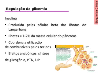 BioquímicaClínica
Insulina

Produzida pelas células beta das ilhotas de
Langerhans

Ilhotas = 1-2% da massa celular do pâncreas

Coordena a utilização
de combustíveis pelos tecidos

Efeitos anabólicos: síntese
de glicogênio, PTN, LIP
Regulação da glicemia
 