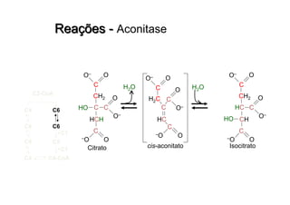 C2-CoA
C6C4
C6C4
C4 C5
C4 C4-CoA
C1
C1
Isocitrato
H2O
cis-aconitato
H2O
CH2
C
OO–
HCH
HO C
C
O–O
C
O
O–
Citrato
H2C
C
OO–
HC
C
C
O–O
C
O
O–
CH2
C
OO–
CHHO
HC
C
O–O
C
O
O–
 