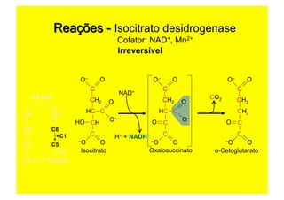 C2-CoA
C6C4
C6C4
C4 C5
C4 C4-CoA
C1
C1
Cofator: NAD+, Mn2+
Irreversível
Isocitrato
CH2
C
OO–
CHHO
HC
C
O–O
C
O
O–
Oxalosuccinato
CH2
C
OO–
CO
HC
C
O–O
C
O
O–
CH2
C
OO–
CO
CH2
C
O–O
CO2
α-Cetoglutarato
NAD+
H+ + NADH
 