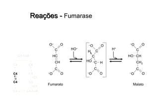 C2-CoA
C6C4
C6C4
C4 C5
C4 C4-CoA
C1
C1
HO–
Fumarato
HC
C
OO–
CH
C
O–O
Malato
CH
C
O–O
CH2
C
O–O
H+
HO
–C
C
O–O
C
C
O–O
HO
H
H
 
