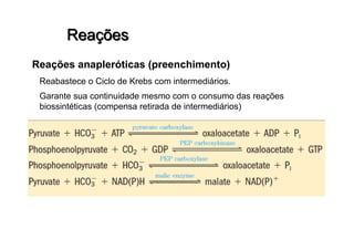 Reações anapleróticas (preenchimento)
Reabastece o Ciclo de Krebs com intermediários.
Garante sua continuidade mesmo com o consumo das reações
biossintéticas (compensa retirada de intermediários)
 