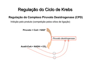 Regulação do Complexo Piruvato Desidrogenase (CPD)
Inibição pelo produto (competição pelos sítios de ligação)
Piruvato desidrogenase
Piruvato + CoA + NAD+
Acetil-CoA + NADH + CO2
–
–
 