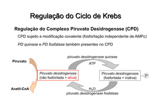 Regulação do Complexo Piruvato Desidrogenase (CPD)
CPD sujeito a modificação covalente (fosforilação independente de AMPc)
Piruvato desidrogenase
(não fosforilada = ativa)
Piruvato desidrogenase
(fosforilada = inativa)
P
piruvato desidrogenase quinase
piruvato desidrogenase fosfatase
PD quinase e PD fosfatase também presentes no CPD
Piruvato
Acetil-CoA
ATP
H2O
 