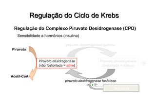 Regulação do Complexo Piruvato Desidrogenase (CPD)
Sensibilidade a hormônios (insulina)
Piruvato desidrogenase
(não fosforilada = ativa)
Piruvato desidrogenase
(fosforilada = inativa) P
piruvato desidrogenase quinase
piruvato desidrogenase fosfatase
Piruvato
Acetil-CoA
Insulina
+
 