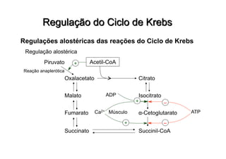 Regulações alostéricas das reações do Ciclo de Krebs
Regulação alostérica
Acetil-CoA
Oxalacetato
Malato
Fumarato
Succinato Succinil-CoA
Citrato
Isocitrato
α-Cetoglutarato
ADP
Piruvato
ATPCa2+
+
+
+
–
–
Músculo
Reação anaplerótica
 