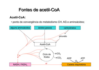 • ponto de convergência do metabolismo CH, AG e aminoácidos;
alguns aminoácidos ácidos graxos carboidratos
Acetil-CoA
piruvato
Ciclo de
Krebs
CO2
CO2
e–
NADH, FADH2 Cadeia respiratória
e–
ADP ATP
O2
 