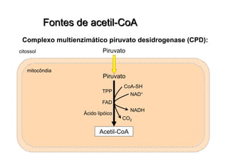 Piruvato
Piruvato
citossol
mitocôndia
Acetil-CoA
CO2
CoA-SH
NAD+
NADH
TPP
FAD
Ácido lipóico
 