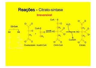 C2-CoA
C6C4
C6C4
C4 C5
C4 C4-CoA
C1
C1
Irreversível
+
CH2
C
O
OC
O–
C
O–O
CH3
CoA-S
OC
CH2
HO C
C
O–O
C
O
O–
CH2
SCoA
C O
CH2
C
OO–
CH2
HO C
C
O–O
C
O
O–
H2O
CoASH
Oxalacetato Acetil-CoA Citril-CoA Citrato
 