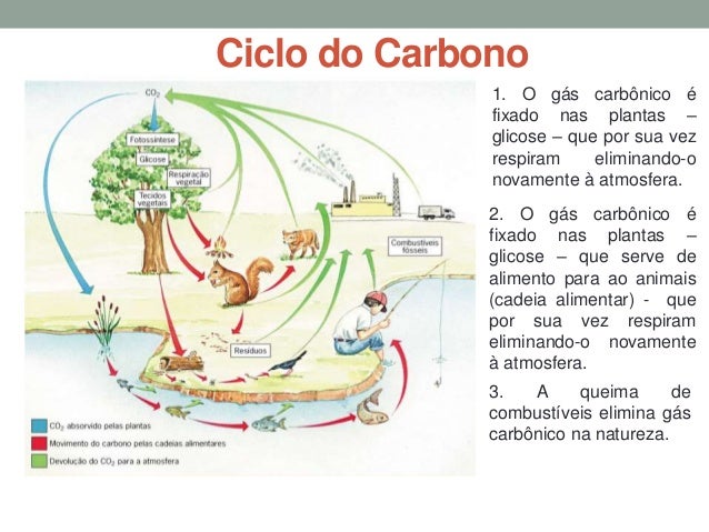 Aula 4 ciclos biogeoquímicos i Aula 4 ciclos biogeoquímicos i
