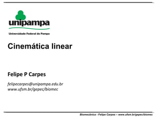 Felipe P Carpes [email_address] www.ufsm.br/gepec/biomec  Cinemática linear 