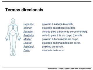 Termos direcionais Superior :   próximo à cabeça (cranial). Inferior :  afastado da cabeça (caudal). Anterior :  voltado para a frente do corpo (ventral). Posterior :  voltado para trás do corpo (dorsal). Medial :  próximo à linha média do corpo. Lateral :  afastado da linha média do corpo. Proximal :  próximo ao tronco. Distal :  afastado do tronco. 