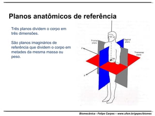 Planos anatômicos de referência Três planos dividem o corpo em três dimensões.  São planos imaginários de referência que dividem o corpo em metades da mesma massa ou peso. 