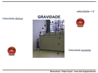 GRAVIDADE Velocidade  diminui Velocidade  aumenta velocidade = 0 