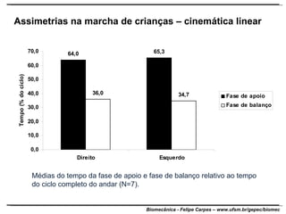 Assimetrias na marcha de crianças – cinemática linear Médias do tempo da fase de apoio e fase de balanço relativo ao tempo do ciclo completo do andar (N=7). 