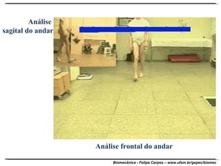 Análise frontal do andar Análise  sagital do andar 