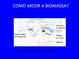 COMO MEDIR A BIOMASSA?
• Matéria seca;
• Medidas óticas.
Separação de células por filtração
 