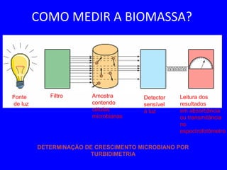 Fonte
de luz
Filtro Amostra
contendo
células
microbianas
Detector
sensível
á luz
Leitura dos
resultados
em absorbância
ou transmitância
no
espectrofotômetro
DETERMINAÇÃO DE CRESCIMENTO MICROBIANO POR
TURBIDIMETRIA
COMO MEDIR A BIOMASSA?
 