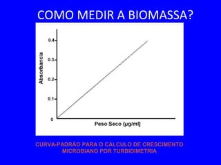 COMO MEDIR A BIOMASSA?
CURVA-PADRÃO PARA O CÁLCULO DE CRESCIMENTO
MICROBIANO POR TURBIDIMETRIA
 
