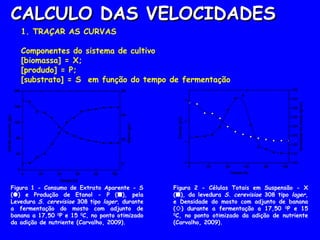 CALCULO DAS VELOCIDADESCALCULO DAS VELOCIDADES
1. TRAÇAR AS CURVAS
Componentes do sistema de cultivo
[biomassa] = X;
[produdo] = P;
[substrato] = S em função do tempo de fermentação
0 20 40 60 80 100
0
1
2
3
Tempo (h)
Células(g/L)
1,00
1,01
1,02
1,03
1,04
1,05
1,06
1,07
1,08
Densidadedomosto(g/mL)
Figura 1 - Consumo de Extrato Aparente - S
() e Produção de Etanol - P (), pela
Levedura S. cerevisiae 308 tipo lager, durante
a fermentação do mosto com adjunto de
banana a 17,50 0
P e 15 0
C, no ponto otimizado
da adição de nutriente (Carvalho, 2009).
Figura 2 - Células Totais em Suspensão - X
(), da levedura S. cerevisiae 308 tipo lager,
e Densidade do mosto com adjunto de banana
() durante a fermentação a 17,50 0
P e 15
0
C, no ponto otimizado da adição de nutriente
(Carvalho, 2009).
0 20 40 60 80 100
0
40
80
120
160
200
Tempo (h)
Extratoaparente(g/L)
0
20
40
60
Etanol(g/L)
 