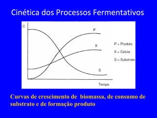 Curvas de crescimento de biomassa, de consumo de
substrato e de formação produto
Cinética dos Processos Fermentativos
 