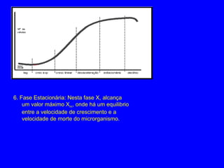 6. Fase Estacionária: Nesta fase X, alcança
um valor máximo Xm, onde há um equilibrio
entre a velocidade de crescimento e a
velocidade de morte do microrganismo.
 