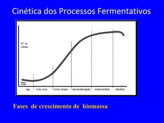 Fases de crescimento de biomassa
Cinética dos Processos Fermentativos
 