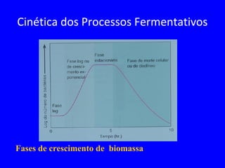 Fases de crescimento de biomassa
Cinética dos Processos Fermentativos
 