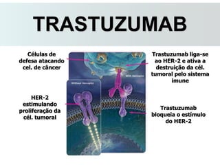 TRASTUZUMAB
Células de
defesa atacando
cel. de câncer
HER-2
estimulando
proliferação da
cél. tumoral
Trastuzumab
bloqueia o estímulo
do HER-2
Trastuzumab liga-se
ao HER-2 e ativa a
destruição da cél.
tumoral pelo sistema
imune
 