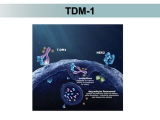 TDM-1
 