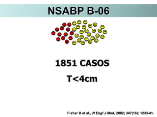 NSABP B-06
1851 CASOS
T<4cm
Fisher B et al., N Engl J Med, 2002; 347(16): 1233-41.
 