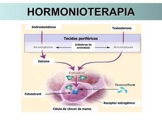 HORMONIOTERAPIA
Fulvestrant
Testosterona
Estrona
Androstenidiona
Receptor estrogênico
Célula de câncer de mama
Inibidores de
aromatase
Tecidos periféricos
o
 