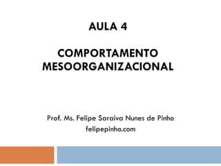 AULA 4 COMPORTAMENTO MESOORGANIZACIONAL Prof. Ms. Felipe Saraiva Nunes de Pinho felipepinho.com 